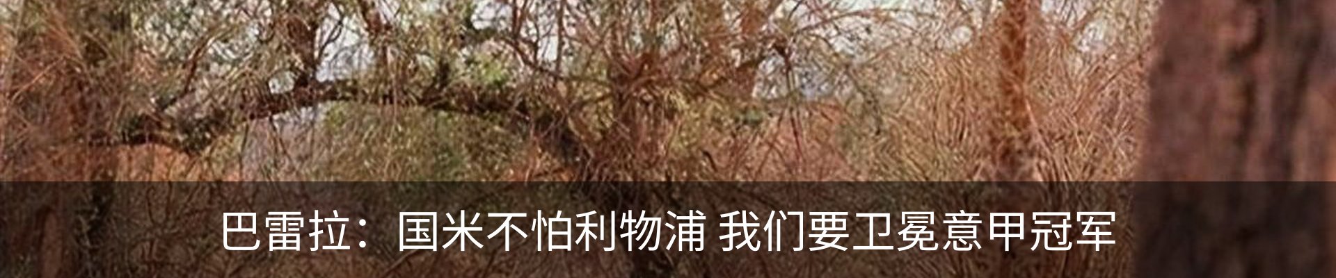 内页banner